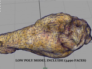 chiken wing 1 3D Model