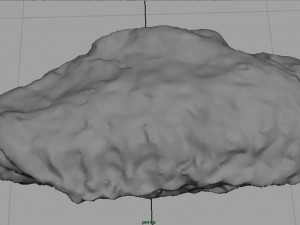chiken wing 2 3D Model