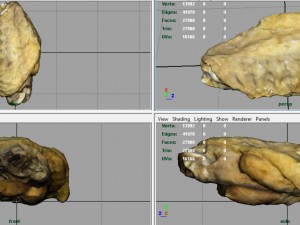chiken wing 2 3D Model