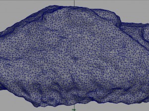 chiken wing 2 3D Model
