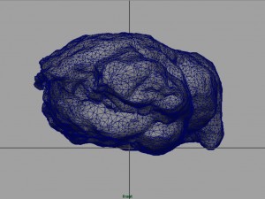 chiken wing 2 3D Model
