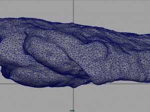 chiken wing 2 3D Model