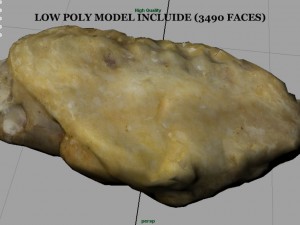 chiken wing 2 3D Model