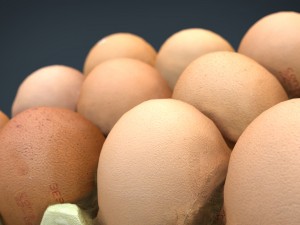 egss 3D-Modell