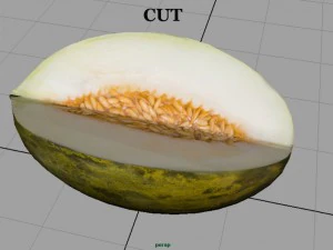 santa claus melon 3D Model