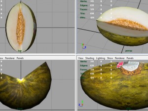 santa claus melon 3Dモデル