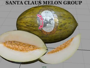 santa claus melon 3D Model