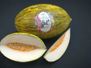 santa claus melon 3D Model