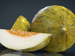 santa claus melon 3Dモデル