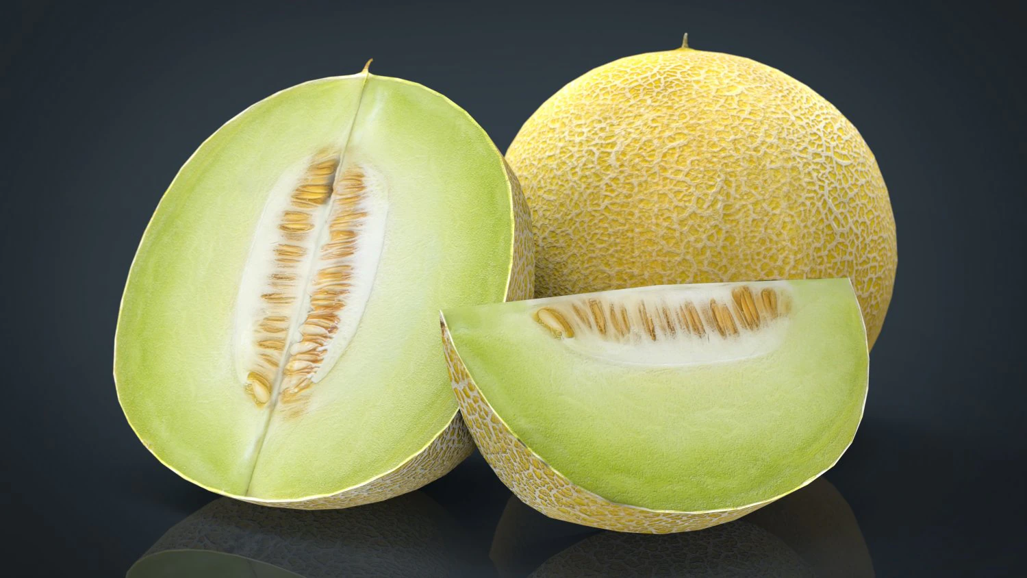 galia melon 3D Model .c4d .max .obj .3ds .fbx .stl .blend 
