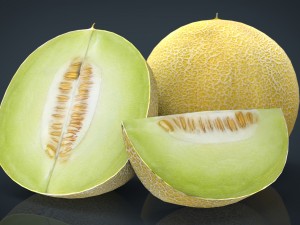 galia melon 3D Model