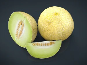 galia melon 3D Model