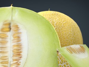 galia melon 3Dモデル