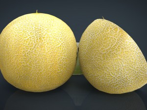 galia melon 3Dモデル