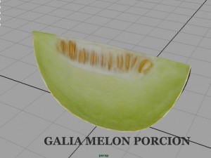 galia melon 3Dモデル