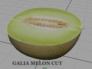 galia melon 3Dモデル