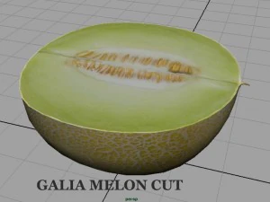 galia melon 3D Model