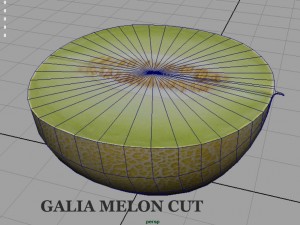 galia melon 3Dモデル