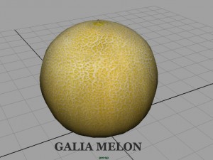 galia melon 3Dモデル