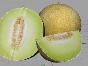 galia melon 3Dモデル