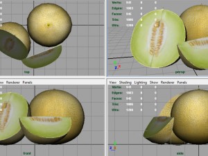 galia melon 3Dモデル