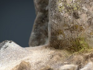 rock 19 Modello 3D