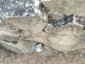 rock 20 3D मॉडल
