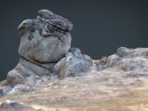 rock 21 3D Model