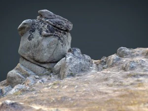 rock 21 3D Model