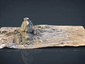 rock 21 3D Model