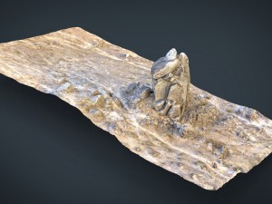 rock 21 3D Model