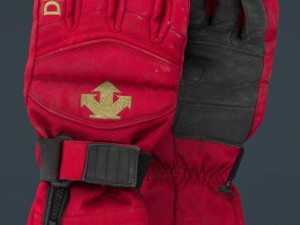 ski gloves 3D Model