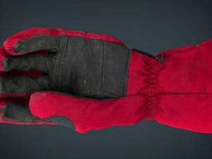 ski gloves 3D Model