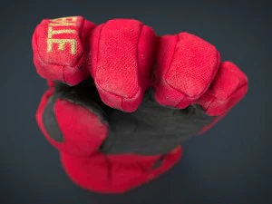 ski gloves 3D Model