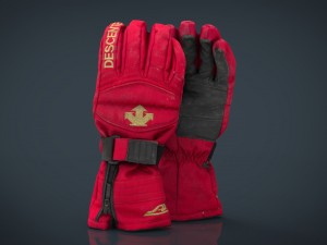 ski gloves Modèle 3D