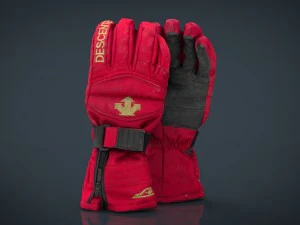 ski gloves 3D Model