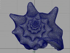 sea shell 3D Model