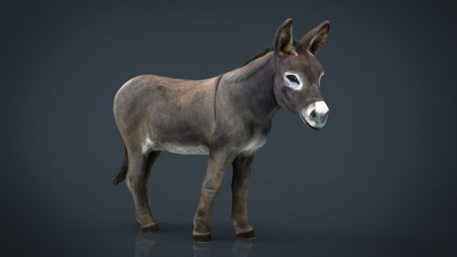 donkey 3D मॉडल .c4d .max .obj .3ds .fbx .stl .blend 