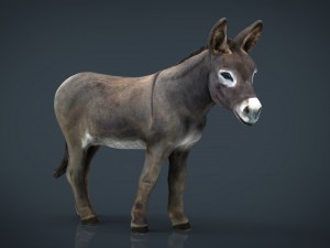 donkey 3D Модель