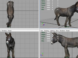 donkey 3D मॉडल