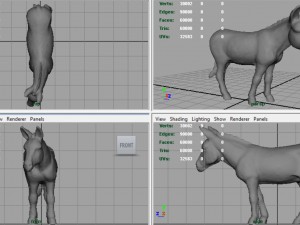 donkey 3D मॉडल