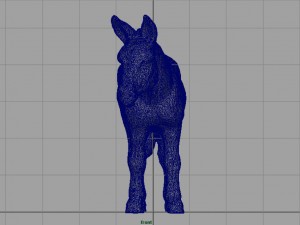 donkey 3D मॉडल