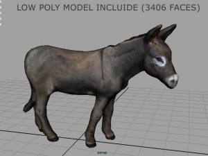donkey 3D मॉडल
