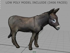 ロバ 3Dモデル