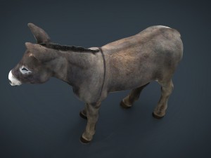 donkey 3D मॉडल
