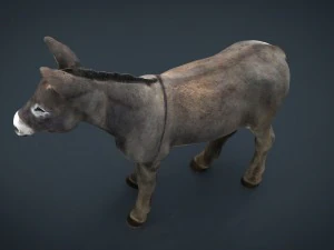 ロバ 3Dモデル