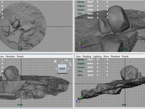 rock 22 3D Model