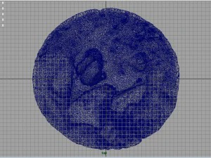 rock 22 3D Model