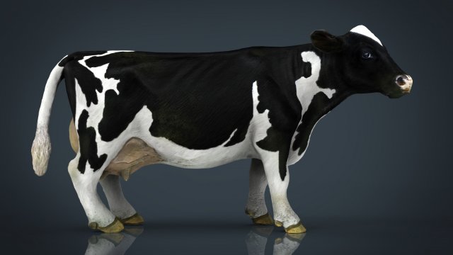 milk cow 3D Модель .c4d .max .obj .3ds .fbx .stl .blend 