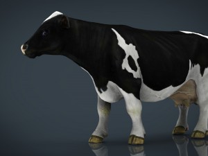 milk cow 3D Модель
